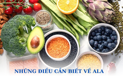 NHỮNG ĐIỀU CẦN BIẾT VỀ ALPHA LIPOIC ACID (ALA)