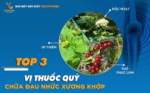 TOP 3 VỊ THUỐC QUÝ THƯỜNG GẶP TRONG BÀI THUỐC XƯƠNG KHỚP