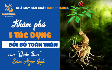 Hé lộ cơ hội kinh doanh TPBVSK từ “Quốc Bảo” Việt Nam - SÂM NGỌC LINH