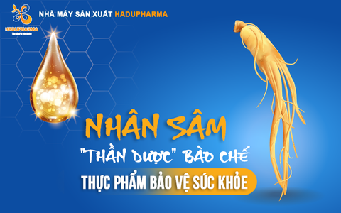 NHÂN SÂM - “THẦN DƯỢC” BÀO CHẾ THỰC PHẨM BẢO VỆ SỨC KHỎE