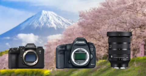 Sony dẫn đầu doanh số máy ảnh không gương lật trong khi Canon thống trị máy ảnh DSLR