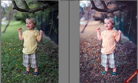 Blend Màu Là Gì? Tại Sao Chúng Ta Cần Blend Màu Ảnh