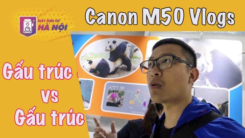 Công viên Gấu Trúc - Thành Đô ✅Vlogs ở Trung Quốc với M50 - Máy ảnh cũ Hà Nội