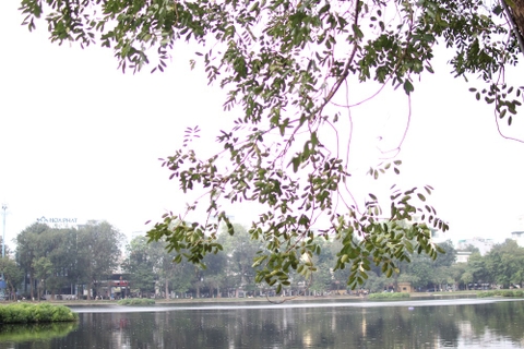 Quang sai màu trong nhiếp ảnh