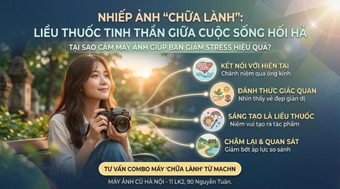 Nhiếp Ảnh "Chữa Lành": Liều Thuốc Tinh Thần Giữa Cuộc Sống Hối Hả.
