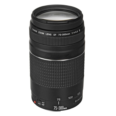 Canon EF 75-300mm f/4-5.6 II
