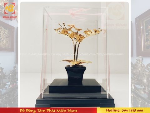 Hoa lan mạ vàng 24k - Quà tặng sếp nữ - quà tặng tết