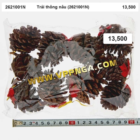 Trái thông nâu (2621001N) - Trang trí Noel 2026