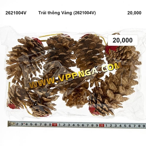 Trái thông Vàng (2621004V) - Trang trí Noel 2026