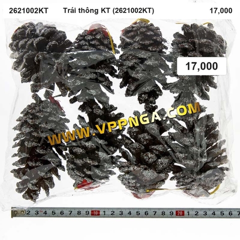 Trái thông KT (2621002KT) - Trang trí Noel 2026