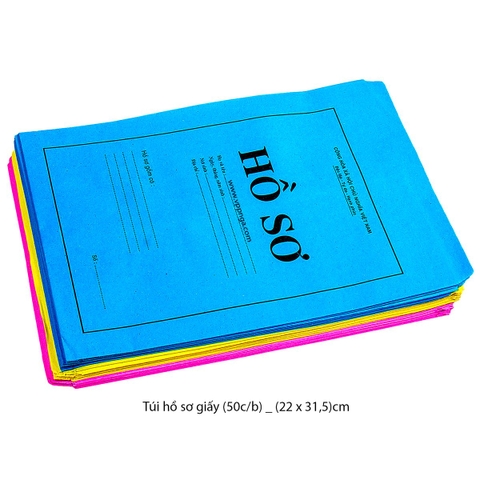 Túi hồ sơ giấy màu (22.5x30)cm, (50c/b)