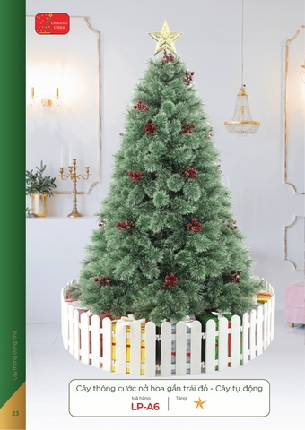 Cây thông cước nở hoa gắn trái đỏ - cây tự động (Changchiia 2026) (Catalogue trang 23)