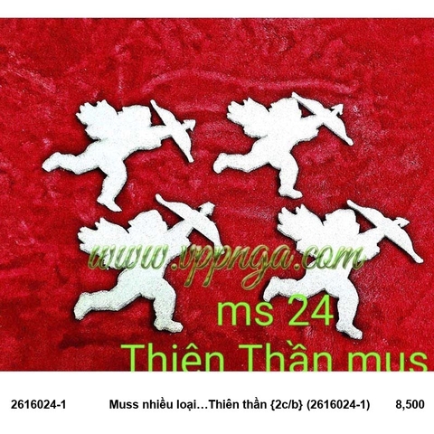 Muss nhiều loại…Thiên thần (2616024-1) - Trang trí Noel 2026