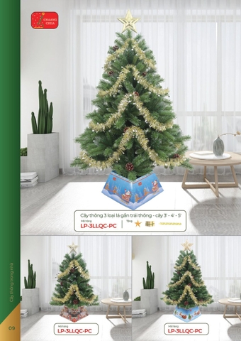 Cây thông 3 loại lá gắn trái đỏ (Changchiia 2026) (Catalogue trang 10)