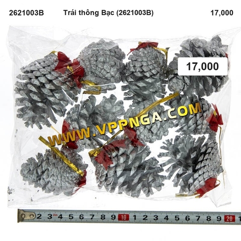 Trái thông Bạc (2621003B) - Trang trí Noel 2026