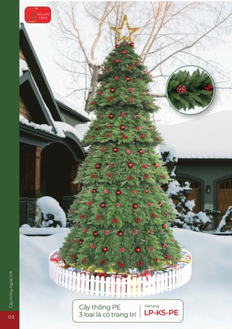 CÂY THÔNG PE 3 LOẠI LÁ CÓ TRANG TRÍ [CHANGCHIIA 2025] (TRANG 3)