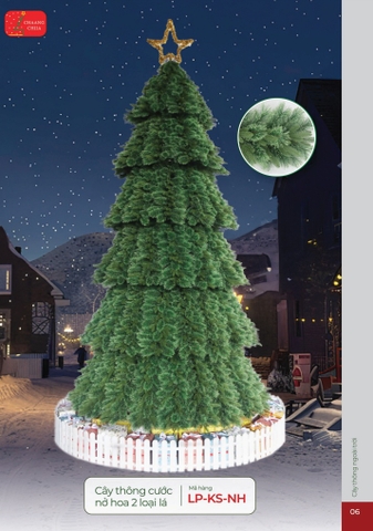 CÂY THÔNG CƯỚC NỞ HOA 2 LOẠI LÁ [CHANGCHIIA 2025] (TRANG 6)