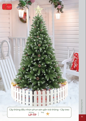 CÂY THÔNG ĐẦU NHỌN PHUN SƠN GẮN TRÁI THÔNG - CÂY TREO (CHANGCHIIA 2025) (TRANG 10)