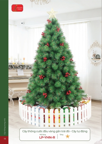 CÂY THÔNG CƯỚC ĐẦU VÀNG GẮN TRÁI ĐỎ - CÂY TỰ ĐỘNG (CHANGCHIIA 2025) (TRANG 19)