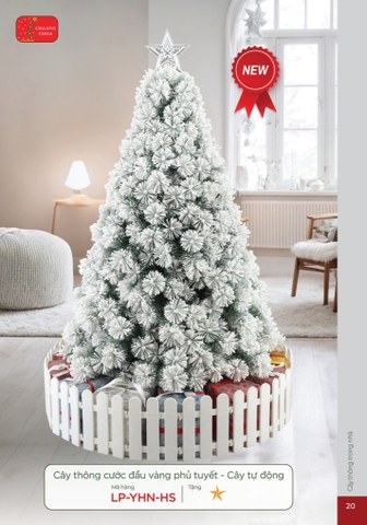 CÂY THÔNG CƯỚC ĐẦU VÀNG PHỦ TUYẾT - CÂY TỰ ĐỘNG (CHANGCHIIA 2025) (TRANG 20)