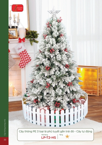 CÂY THÔNG PE 3 LOẠI LÁ PHỦ TUYẾT GẮN TRÁI ĐỎ - CÂY TỰ ĐỘNG (CHANGCHIIA 2025) (TRANG 33)