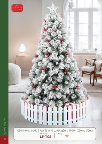 CÂY THÔNG CƯỚC PHỦ TUYẾT 2 LOẠI LÁ GẮN TRÁI ĐỎ - CÂY TỰ ĐỘNG (CHANGCHIIA 2025) (TRANG 35)