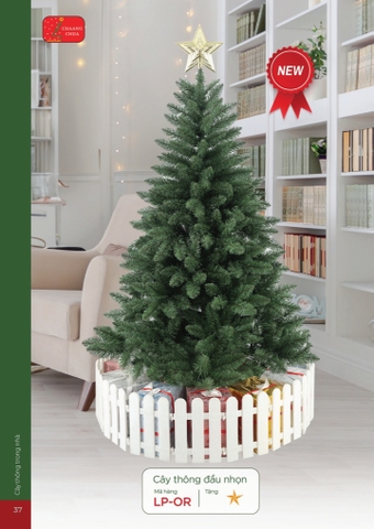 CÂY THÔNG ĐẦU NHỌN (CHANGCHIIA 2025) (TRANG 37)