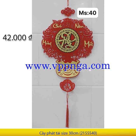 Cây phát tài size 30cm (2355540)