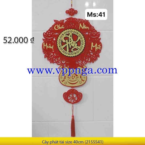 Cây phát tài size 40cm (2355541)