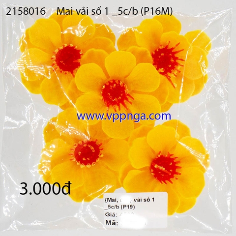 Đào vải số 1 _5c/b (P16D)