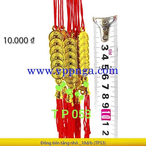 Đồng tiền tầng nhỏ _10d/b (TP53)
