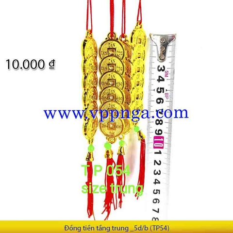 Đồng tiền tầng trung _5d/b (TP54)