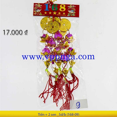 Vuông nhung + pháo hoa vĩ _5d/b (Q 09)