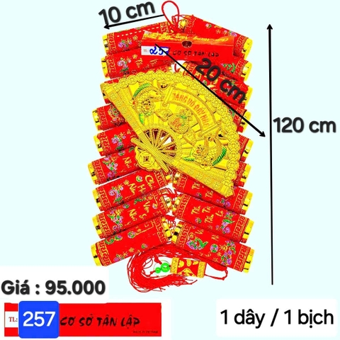 Quạt phát tài 20cm + pháo 6 (TL257) (2552257) (HÀNG MỚI 2025)