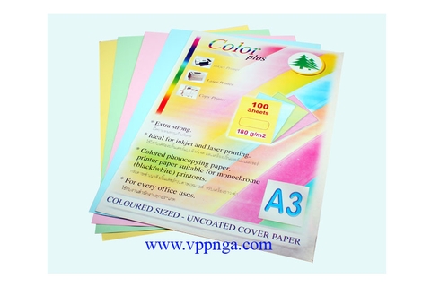 Bìa chemise A3 (32x48)cm, láng (100 tờ/xấp)