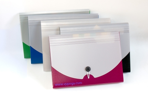 Bìa nhựa 12 ngăn, Xifu 8811A