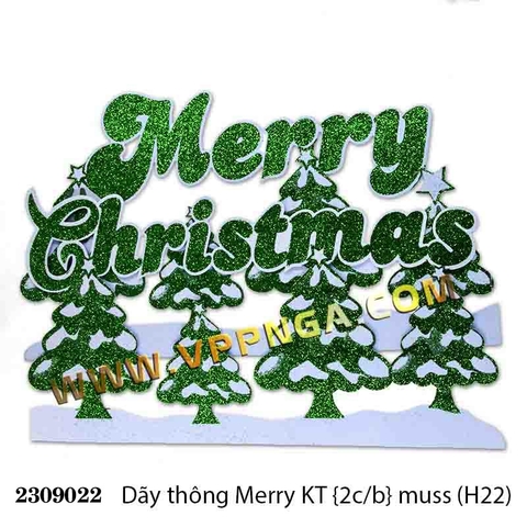 Dãy thông Merry KT {2c/b} muss (H22)