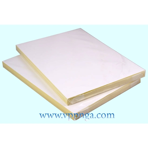 Nhãn decal A4 vàng