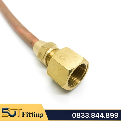 Bộ Nối 1/8 (9.6) Thẳng Ren Trong, Côn Lồi Lắp Lã Ống Đồng SAE Phi 6 8 10mm (Brass Flare Fitting Female Connector NPT)