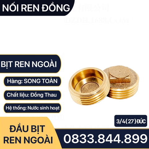 Nút Bịt / Đầu Bít Ren Ngoài Đồng Thau Đúc Dập Nóng - 21 27