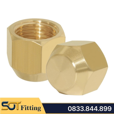 Đầu Bịt Ren Trong Côn Lồi Lã Ống Đồng Phi 6 8 10 12 16 / Brass Flare Fitting Cap SAE