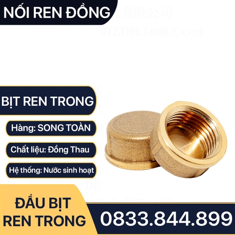 Nút Bịt / Đầu Bít Ren Trong Đồng Thau Đúc Dập Nóng - 21 27