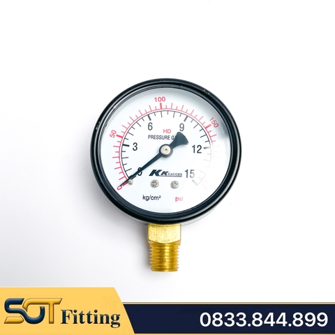 Đồng Hồ Áp Suất Ren PT 3/8 (17) - Mặt Khô Đường Kính 100 mm Chân Đứng