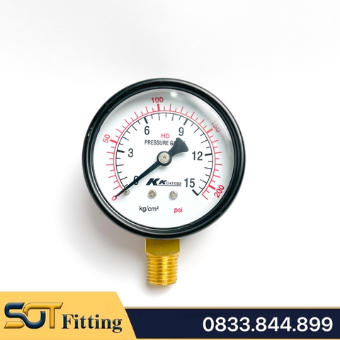 Đồng Hồ Áp Suất Ren PT 1/2 (21) -  Mặt Khô Đường Kính 150mm Chân Đứng