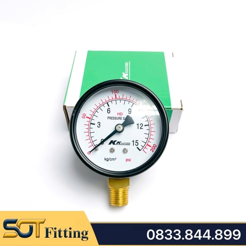 Đồng Hồ Áp Suất Ren PT 1/4 (13) Mặt Khô - Đường Kính 63 mm Chân Đứng