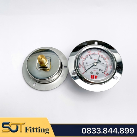 Đồng Hồ Dầu Chân Sau Ren PT 3/8 (17) - Đo Áp Suất Mặt 100mm