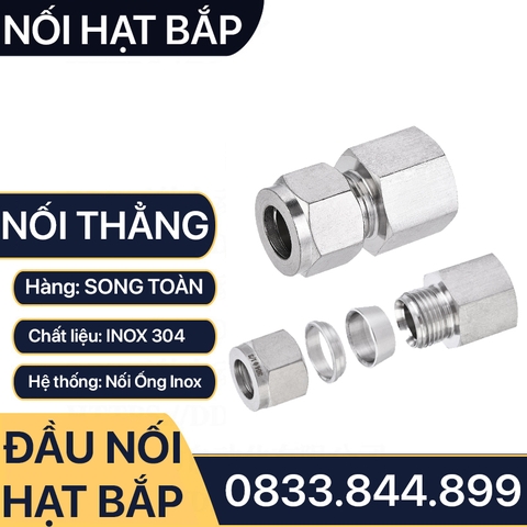 Nối Ren Trong Hạt Bắp Inox 304, Đầu Nối Ren Trong Côn Lõm Hạt Bắp Inox 304