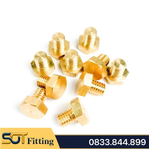 Ốc Bulong Ren Ngoài M5 Đầu Lục Giác - Đồng Thau C3604