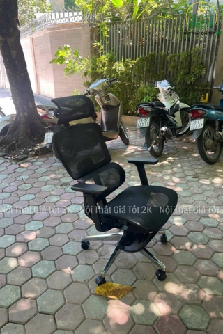 Ghế Công Thái Học EG02