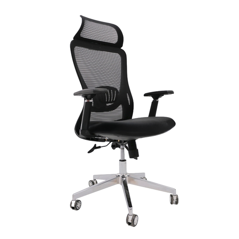 Ghế Công Thái Học A877